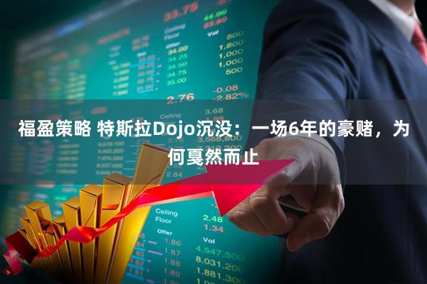 福盈策略 特斯拉Dojo沉没：一场6年的豪赌，为何戛然而止