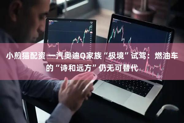 小煎猫配资 一汽奥迪Q家族“极境”试驾：燃油车的“诗和远方”仍无可替代