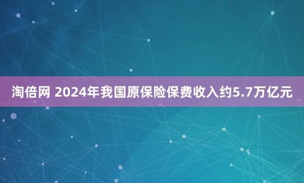 淘倍网 2024年我国原保险保费收入约5.7万亿元