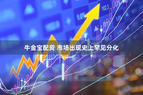 牛金宝配资 市场出现史上罕见分化